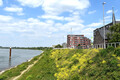 Blick auf die Rheinpromenade, im Hintergrund einer der "Rheinkiesel", ein großes Mehrparteienhaus
